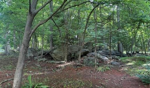 Photo #5 of 610 Brown, Randleman, NC 1.0 acres