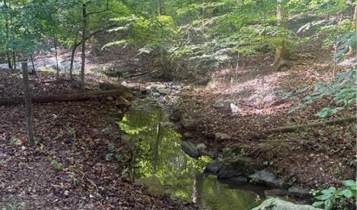 Photo #9 of 610 Brown, Randleman, NC 1.0 acres