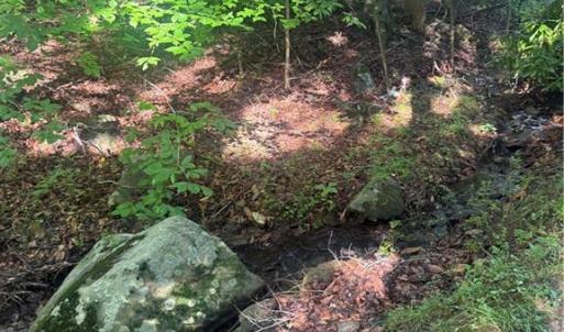 Photo #8 of 610 Brown, Randleman, NC 1.0 acres