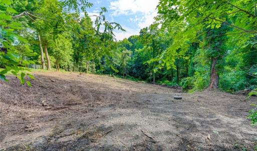 Photo #6 of 1631 Ardsley, Winston-Salem, NC 1.4 acres