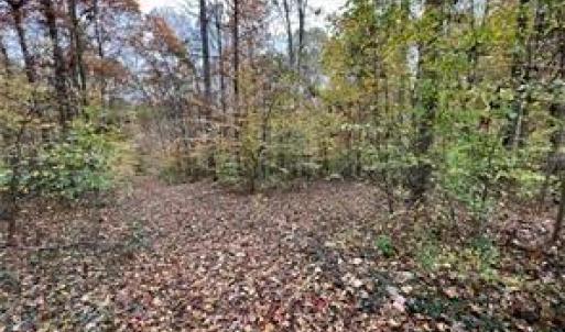 Photo #2 of Aladdin, Pfafftown, NC 19.0 acres
