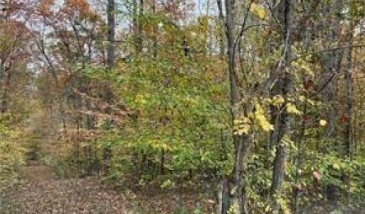 Photo #13 of Aladdin, Pfafftown, NC 19.0 acres