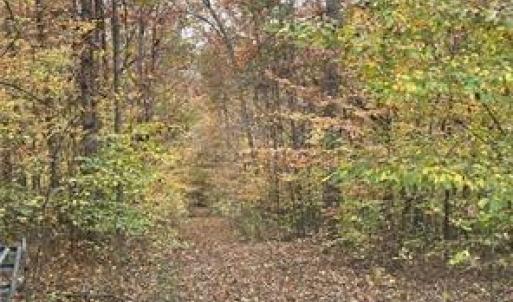 Photo #17 of Aladdin, Pfafftown, NC 19.0 acres