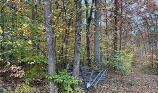 Photo #10 of Aladdin, Pfafftown, NC 19.0 acres