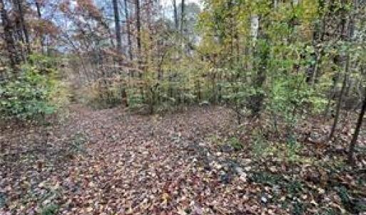 Photo #4 of Aladdin, Pfafftown, NC 19.0 acres