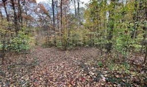Photo #2 of Aladdin, Pfafftown, NC 20.1 acres