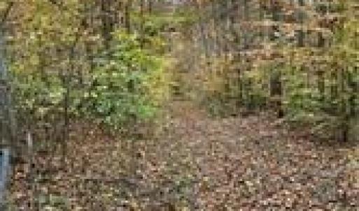 Photo #6 of Aladdin, Pfafftown, NC 20.1 acres