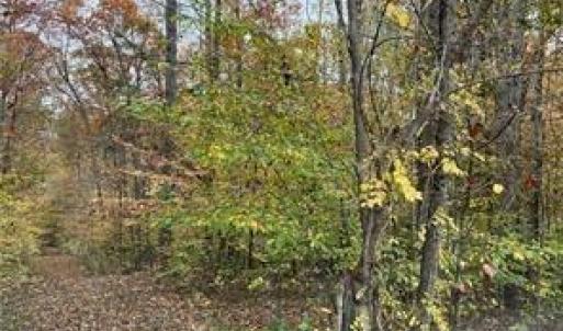 Photo #13 of Aladdin, Pfafftown, NC 20.1 acres