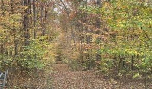 Photo #17 of Aladdin, Pfafftown, NC 20.1 acres