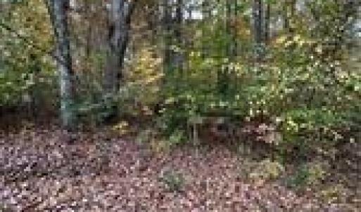 Photo #16 of Aladdin, Pfafftown, NC 20.1 acres