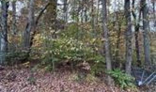 Photo #12 of Aladdin, Pfafftown, NC 20.1 acres