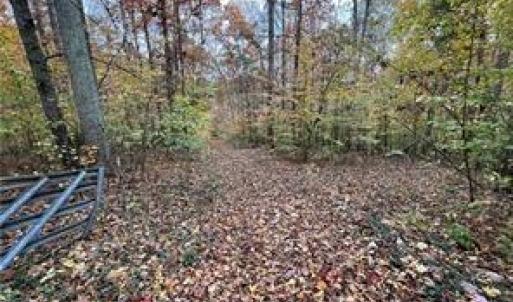 Photo #3 of Aladdin, Pfafftown, NC 20.1 acres