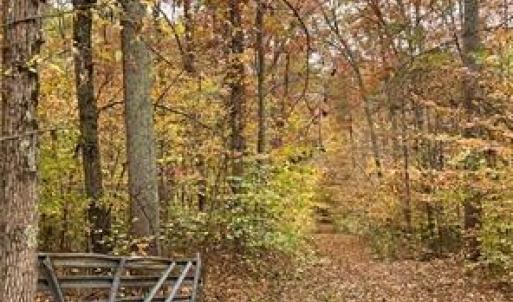 Photo #9 of Aladdin, Pfafftown, NC 20.1 acres
