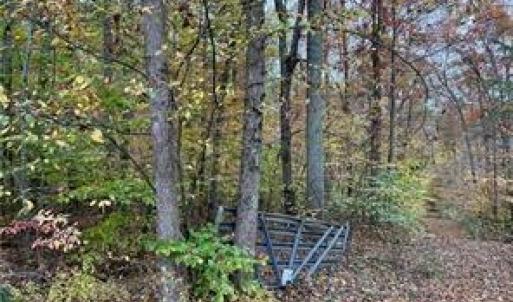 Photo #10 of Aladdin, Pfafftown, NC 20.1 acres