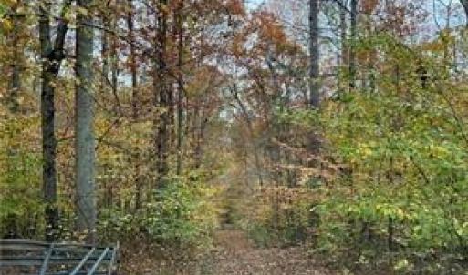 Photo #14 of Aladdin, Pfafftown, NC 20.1 acres