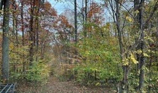 Photo #11 of Aladdin, Pfafftown, NC 20.1 acres