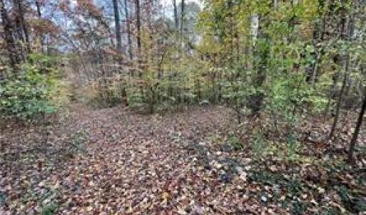 Photo #4 of Aladdin, Pfafftown, NC 20.1 acres