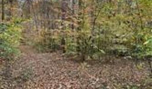 Photo #8 of Aladdin, Pfafftown, NC 20.1 acres