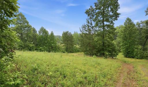 Photo #16 of 23146 Nc Highway 109, Denton, NC 7.9 acres