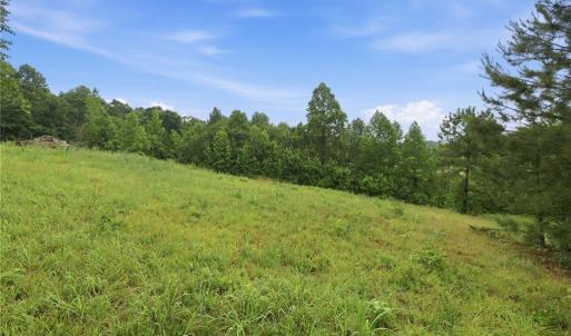 Photo #15 of 23146 Nc Highway 109, Denton, NC 7.9 acres