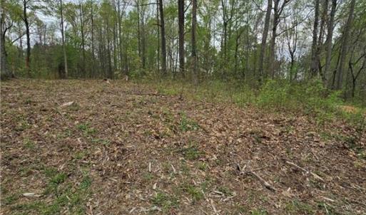 Photo #7 of 9079 NC Highway 109, Wallburg, NC 1.0 acres