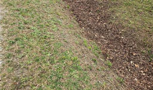 Photo #3 of 9079 NC Highway 109, Wallburg, NC 1.0 acres