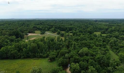 Photo #9 of 4675 Midway School, Thomasville, NC 72.6 acres