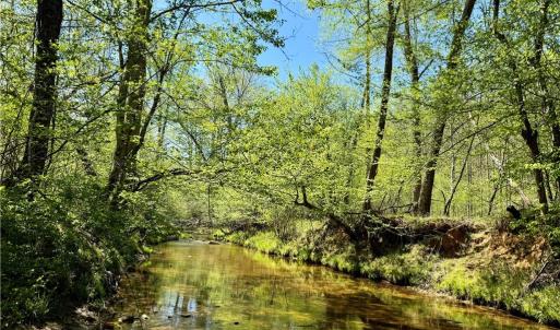 Photo #5 of 3313 NC Highway 66, Westfield, NC 71.0 acres