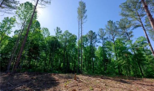 Photo #6 of Carson, Cleveland, NC 8.8 acres