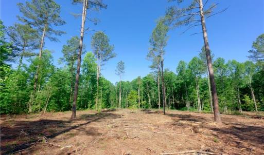 Photo #7 of Carson, Cleveland, NC 8.8 acres