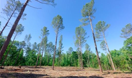 Photo #3 of Carson, Cleveland, NC 8.8 acres
