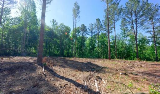 Photo #5 of Carson, Cleveland, NC 8.8 acres