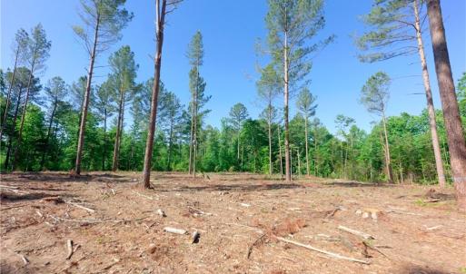 Photo #4 of Carson, Cleveland, NC 8.8 acres