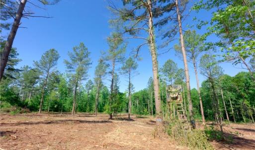 Photo #8 of Carson, Cleveland, NC 8.8 acres