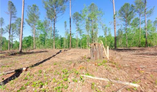 Photo #7 of Carson, Cleveland, NC 10.2 acres