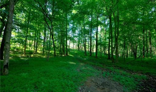 Photo #5 of Carson, Cleveland, NC 10.2 acres