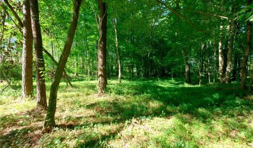 Photo #4 of Carson, Cleveland, NC 10.2 acres