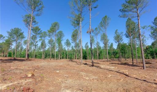 Photo #8 of Carson, Cleveland, NC 10.2 acres