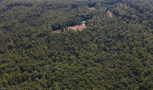 Photo #20 of 7767 Pearman Quarry, Kernersville, NC 32.1 acres