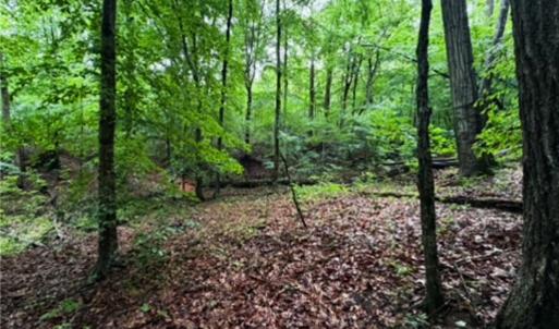 Photo #9 of 7767 Pearman Quarry, Kernersville, NC 32.1 acres
