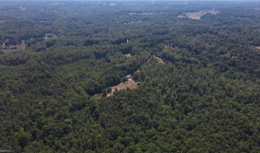 Photo #18 of 7767 Pearman Quarry, Kernersville, NC 32.1 acres