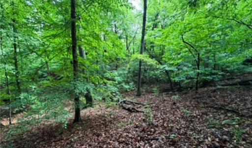 Photo #11 of 7767 Pearman Quarry, Kernersville, NC 32.1 acres