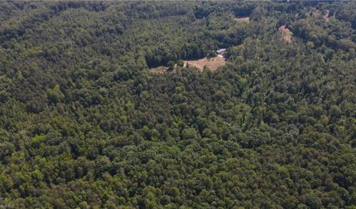 Photo #19 of 7767 Pearman Quarry, Kernersville, NC 32.1 acres