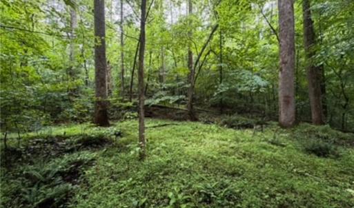 Photo #8 of 7767 Pearman Quarry, Kernersville, NC 32.1 acres