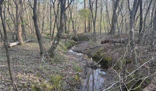 Photo #13 of 1500 Wiley Lewis, Greensboro, NC 188.8 acres