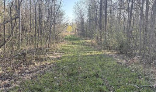 Photo #17 of 1500 Wiley Lewis, Greensboro, NC 188.8 acres