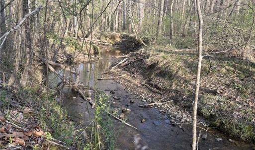 Photo #16 of 1500 Wiley Lewis, Greensboro, NC 188.8 acres