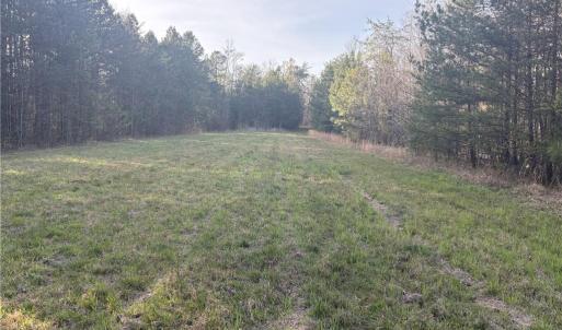 Photo #12 of 1500 Wiley Lewis, Greensboro, NC 188.8 acres