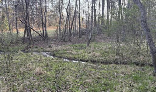 Photo #22 of 1500 Wiley Lewis, Greensboro, NC 188.8 acres