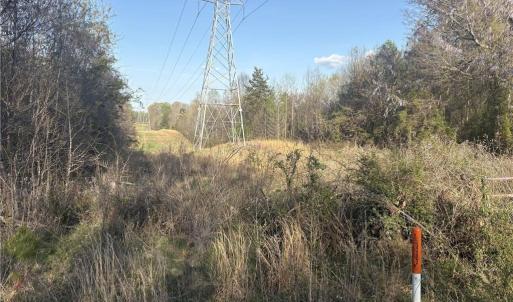 Photo #9 of 1500 Wiley Lewis, Greensboro, NC 188.8 acres